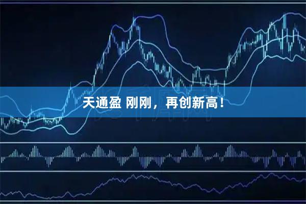 天通盈 刚刚,再创新高!