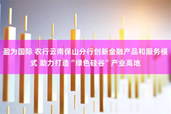 盈为国际 农行云南保山分行创新金融产品和服务模式 助力打造“绿色硅谷”产业高地