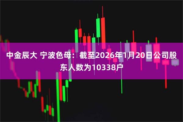 中金辰大 宁波色母：截至2026年1月20日公司股东人数为10338户