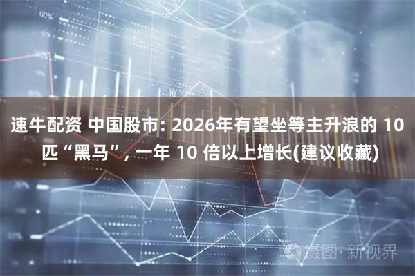速牛配资 中国股市: 2026年有望坐等主升浪的 10 匹“黑马”, 一年 10 倍以上增长(建议收藏)